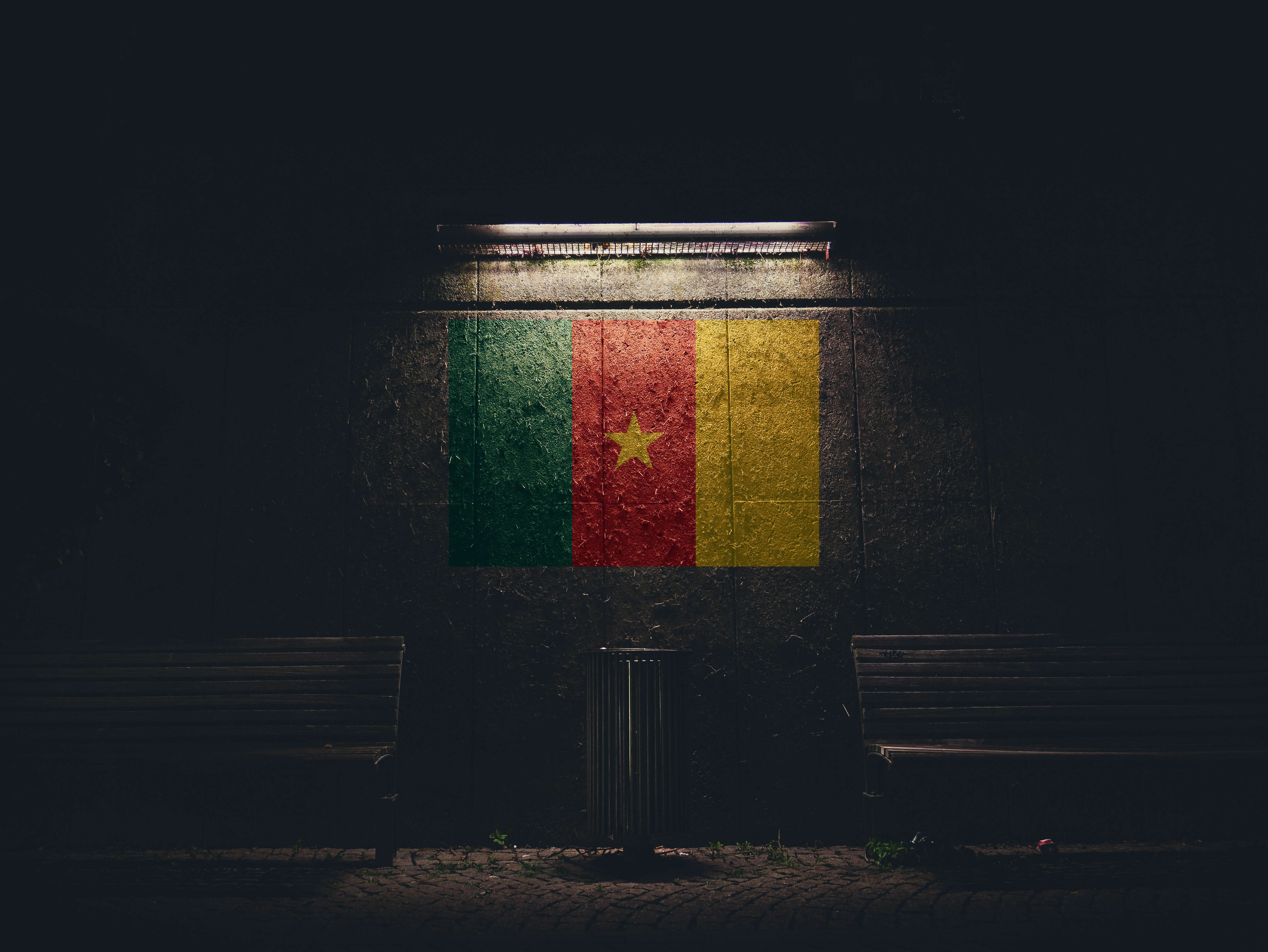 cameroon flag