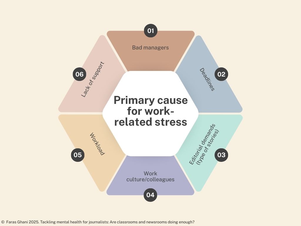 Infographics showing causes of mental health issues in newsrooms