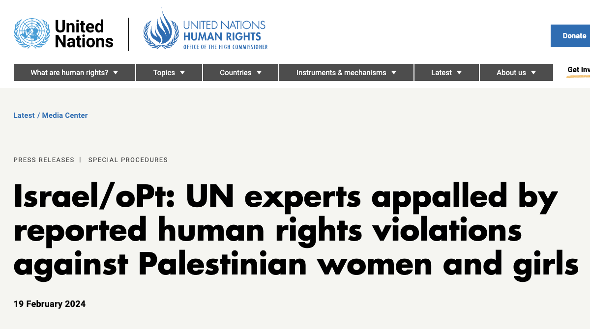 UN report on Israeli sexual violence against Palestinian women